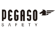 Logo Pegaso